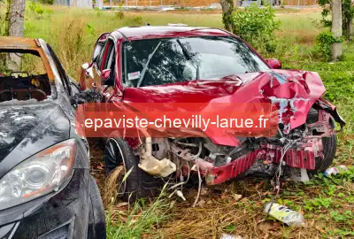 épaviste gratuit